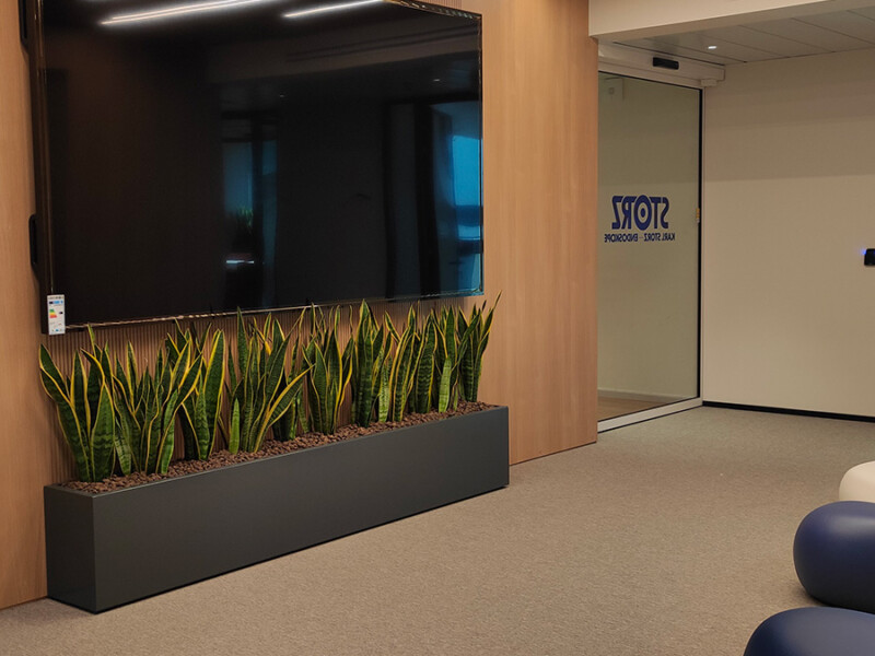 Karl Storz HQ